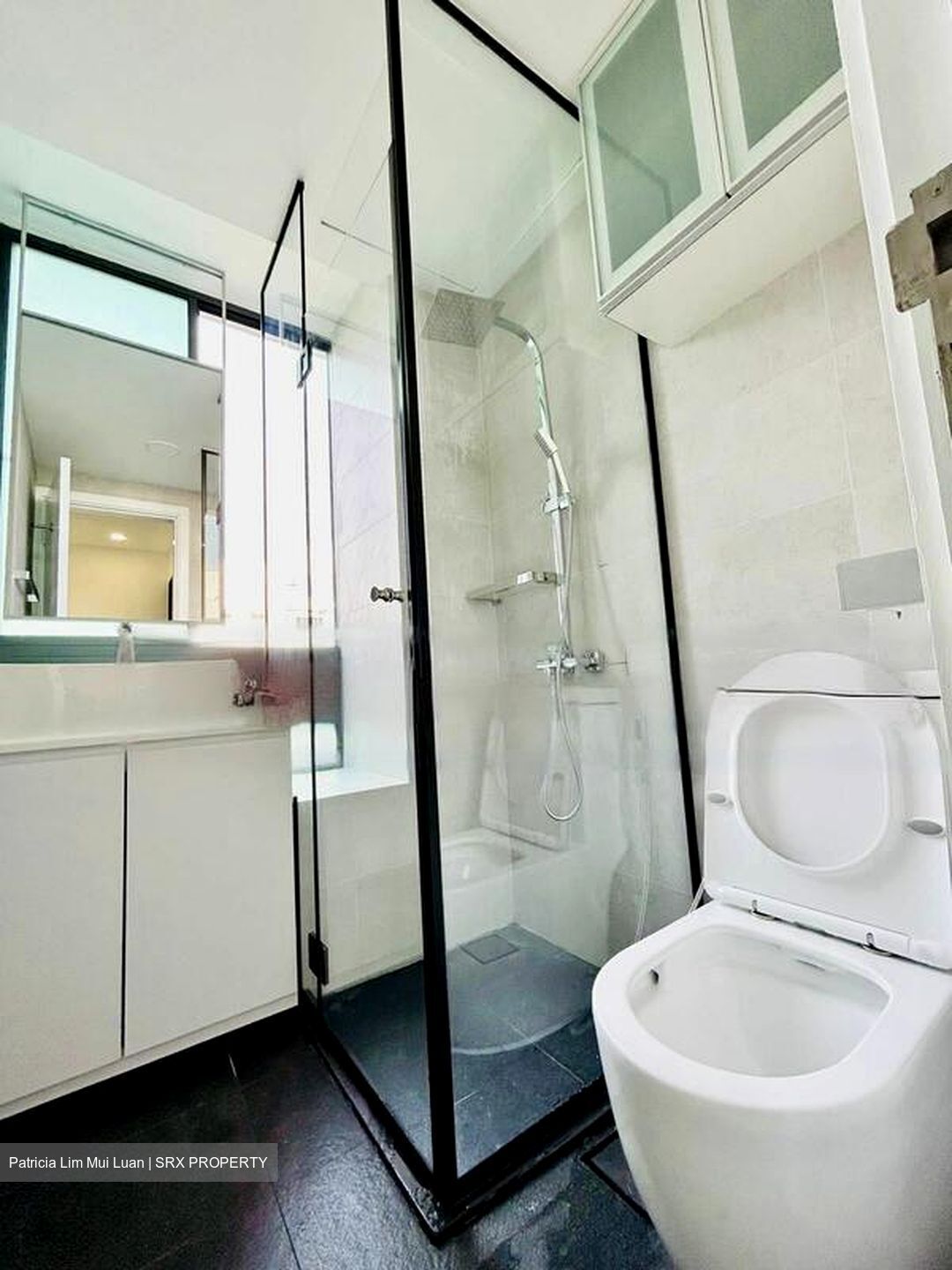 Haig Residences (D15), Apartment #464660171